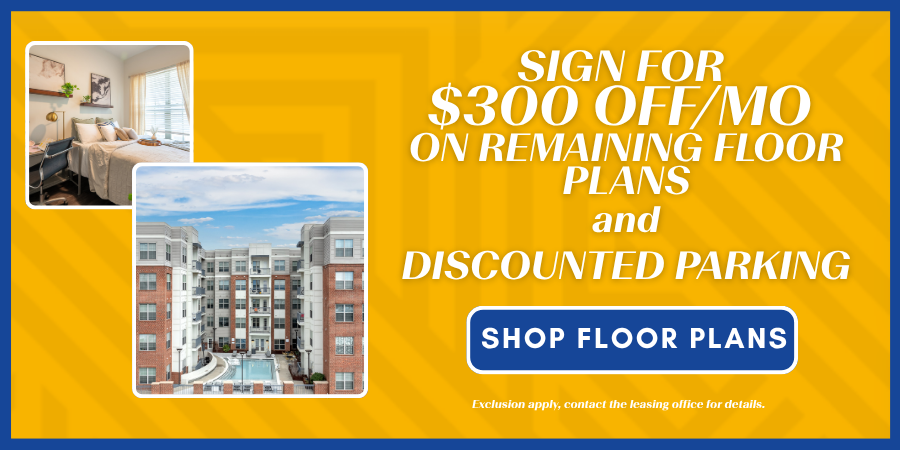 Copy of PopUp Template Only 18.png