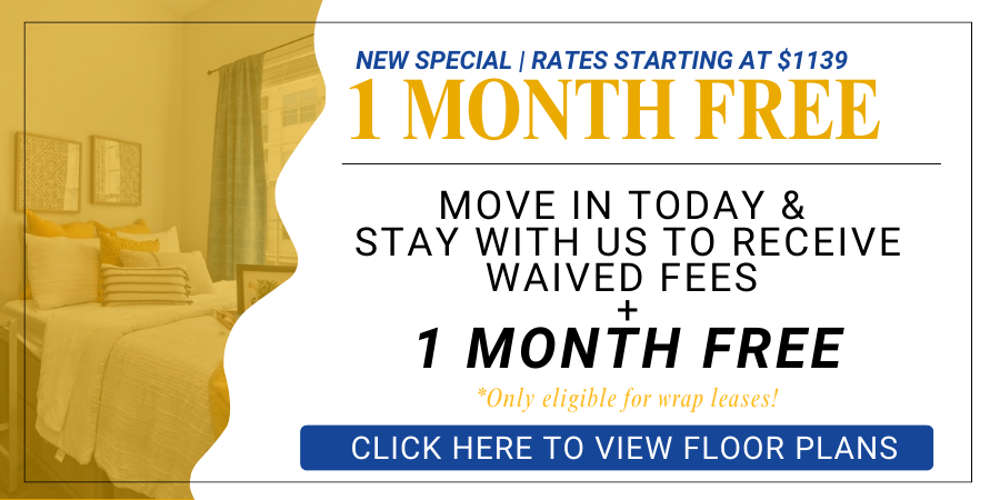 Maci 2025 New Lease Campaign PopUp (10)