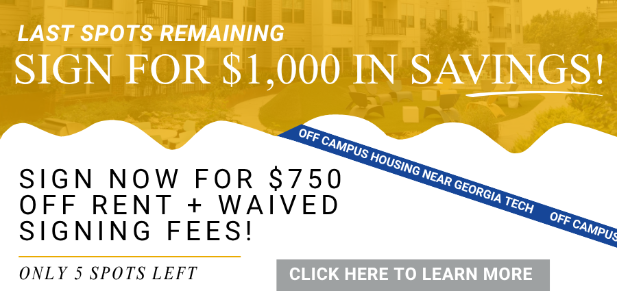 Maci 2025 New Lease Campaign PopUp (66)